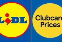 Lidl Owner Circles Tesco European Empire in Major Retail Shakeup
