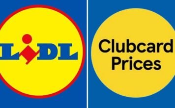 Lidl Owner Circles Tesco European Empire in Major Retail Shakeup